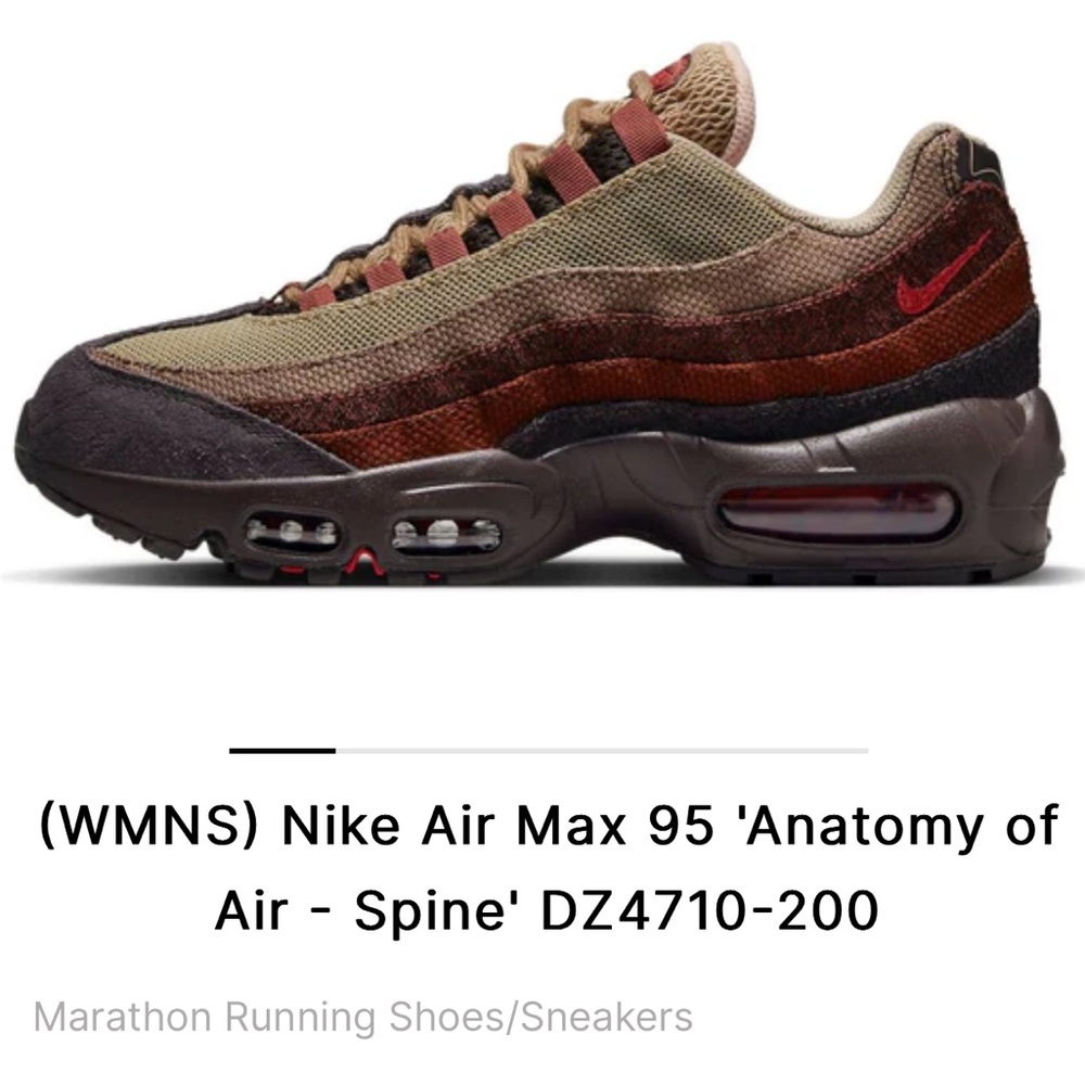 Nike Air Max 95 Anatomy of Air (Women's)